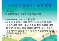 [자폐증(自閉症 autism)] 자폐증 특징, 자폐증 의사소통, 자폐증 원인(심인성이론, 유적영향, 후천영향), 자폐증 진단기준, 자폐증 치료 방안PPT자료 수정 다운 홍보-18