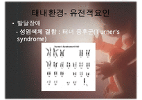 [태내기] 태내 환경, 태내기 진단(유전상담, 초음파, 융모, 양수검사등), 태내기 교육(전통, 현대적), 태내기에 대한 견해 수정 다운 홍보-6