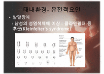 [태내기] 태내 환경, 태내기 진단(유전상담, 초음파, 융모, 양수검사등), 태내기 교육(전통, 현대적), 태내기에 대한 견해 수정 다운 홍보-7