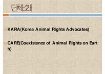 [NGO기관] NGO기관 동물보호단체인 KARA와 CARE 사업분석, 기관분석, 각 기관 비교 분석 등-5