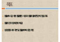 [NGO기관] NGO기관 동물보호단체인 KARA와 CARE 사업분석, 기관분석, 각 기관 비교 분석 등-7