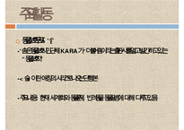 [NGO기관] NGO기관 동물보호단체인 KARA와 CARE 사업분석, 기관분석, 각 기관 비교 분석 등-8