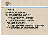 [NGO기관] NGO기관 동물보호단체인 KARA와 CARE 사업분석, 기관분석, 각 기관 비교 분석 등-11