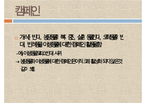 [NGO기관] NGO기관 동물보호단체인 KARA와 CARE 사업분석, 기관분석, 각 기관 비교 분석 등-13