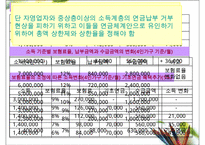 국민연금 사각지대에 대한 이해와 국민연금 개정방안 및 나아갈 방향 제언-17
