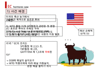 국제 분쟁 사례 EC-호르몬사건 보고서-4