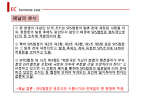 국제 분쟁 사례 EC-호르몬사건 보고서-13