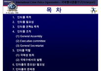 국제 형사 경찰 기구 인터폴에 대한 이해와 문제점 및 분석 발표(인터폴 목적, 필요성, 조직, 역할, 문제점)PPT자료-2