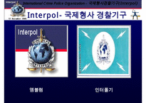 국제 형사 경찰 기구 인터폴에 대한 이해와 문제점 및 분석 발표(인터폴 목적, 필요성, 조직, 역할, 문제점)PPT자료-3
