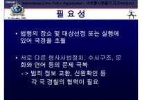 국제 형사 경찰 기구 인터폴에 대한 이해와 문제점 및 분석 발표(인터폴 목적, 필요성, 조직, 역할, 문제점)PPT자료-5