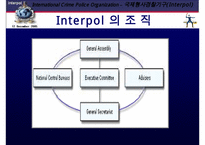 국제 형사 경찰 기구 인터폴에 대한 이해와 문제점 및 분석 발표(인터폴 목적, 필요성, 조직, 역할, 문제점)PPT자료-8
