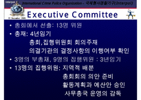 국제 형사 경찰 기구 인터폴에 대한 이해와 문제점 및 분석 발표(인터폴 목적, 필요성, 조직, 역할, 문제점)PPT자료-10