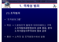 국제 형사 경찰 기구 인터폴에 대한 이해와 문제점 및 분석 발표(인터폴 목적, 필요성, 조직, 역할, 문제점)PPT자료-19