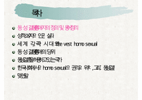동성애 권리 증진 방안] 성적 소수자의 인권 실태와 현황 및 동성애자의 문제점 및 동성애자에 대한 권리 증진 방안 수정 다운 홍보-2