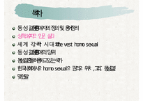 동성애 권리 증진 방안] 성적 소수자의 인권 실태와 현황 및 동성애자의 문제점 및 동성애자에 대한 권리 증진 방안 수정 다운 홍보-7
