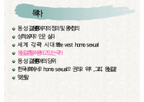 동성애 권리 증진 방안] 성적 소수자의 인권 실태와 현황 및 동성애자의 문제점 및 동성애자에 대한 권리 증진 방안 수정 다운 홍보-15