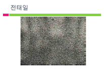 [노동정책 분석 및 노동의 선진화 방안] 노동의 의미, 노동의 역사, 전태일 열사의 생-17