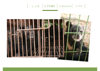 [녹색연합] NGO 기관 Green Korea 아름다운 지구인 [녹색연합] 의 소개, 주요활동, 인터뷰 소감 등 발표자료PPT자료 수정 다운 홍보-12