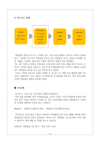 [사업계획서] 액정 보호 필름 제조, 유통 사업계획서 수정 다운 홍보-9