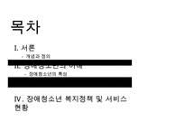 [장애청소년 복지] 장애 청소년의 현황과 실태 및 문제점과 장애 청소년 복지정책 및 서비스의 실천방안-2