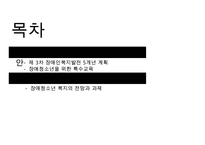 [장애청소년 복지] 장애 청소년의 현황과 실태 및 문제점과 장애 청소년 복지정책 및 서비스의 실천방안-3