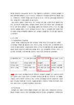 [해외진출 기업 분석] 맥주업체 가르텐비어의 해외진출 성공 사례 분석(STP, 4P 등 모두 분석)-16