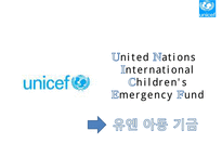 [NGO 유니세프 UNICEF 분석] 역할과 기능, NGO(시민단체) 주요사업 소개, 발전연혁, 예산, 사업PPT자료-3