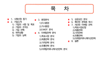 김치냉장고 딤채의 마케팅 성공전략 분석과 문제점 및 개선된 마케팅 전략(SWOT, STP, 유통전략 모두 포함)-1