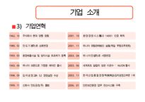 김치냉장고 딤채의 마케팅 성공전략 분석과 문제점 및 개선된 마케팅 전략(SWOT, STP, 유통전략 모두 포함)-5