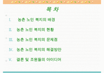 농촌지역 노인복지의 현황과 환경 및 문제점과 노인복지 개선방안-2