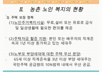 농촌지역 노인복지의 현황과 환경 및 문제점과 노인복지 개선방안-11