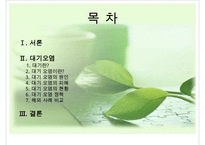 대기오염의 현황, 원인, 피해, 대기오염 정책, 해외의 사례, 개선방향-2
