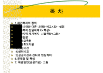 지역사회복지(익산지역 재가복지의 문제점과 해결방안 PPT)-2