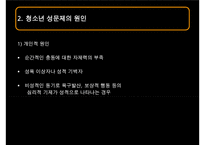 [청소년의 성교육] 청소년 성 문제의 현황과 문제점 및 청소년 교육 방안 발표-10
