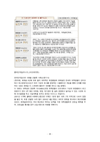 사이버 공간과 국민성 - 사이버 공간을 통해 나타나는 국민성의 모습 고찰과 발전적 방향 및 문제점에 대한 대안-20