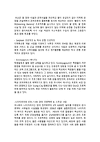 [유니레버 글로벌 마케팅,경영전략 사례분석] 유니레버 기업분석과 글로벌 전략분석및 유니레버 마케팅 SWOT,STP,4P전략분석및 나의의견-13