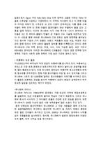 [유니레버 글로벌 마케팅,경영전략 사례분석] 유니레버 기업분석과 글로벌 전략분석및 유니레버 마케팅 SWOT,STP,4P전략분석및 나의의견-14