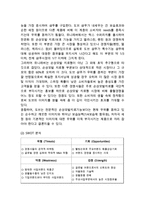 [유니레버 글로벌 마케팅,경영전략 사례분석] 유니레버 기업분석과 글로벌 전략분석및 유니레버 마케팅 SWOT,STP,4P전략분석및 나의의견-17
