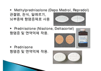 내분비계에 작용하는 약물, 뇌하수체호르몬, 갑상선약물, 부갑상선약물, 부신피질호르몬, 성호르몬, 골다공증치료제-11