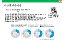 인도시장 진출사례 현지화 전략 분석(맥조날드의 성공켈로그의 실패)-12