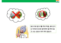 인도시장 진출사례 현지화 전략 분석(맥조날드의 성공켈로그의 실패)-17