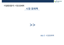 보령제약 [BORYUNG]기업분석 및 경영전략-13