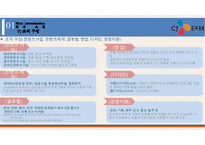 CJ E&M 기업분석 & 경영전략-12