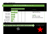 하이네켄 글로벌 마케팅 전략(Heinken Global Marketing strategy)-18