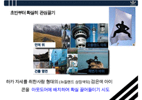 아디다스[Adidas]의 글로벌 마케팅전략 현지화 성공 사례 분석[뉴질랜드Stand in black 일본 Sky Comic]-5