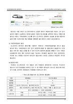 오스트리아 6박 8일 여행 기획서(여행 계획) 레포트-9