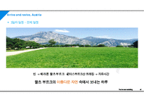 오스트리아 6박 8일 여행 기획서(여행 계획) PPT-15