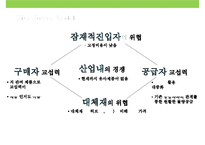 광동제약 생약성분 수면유도제 레돌민 마케팅전략-11