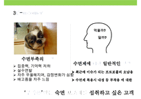 광동제약 생약성분 수면유도제 레돌민 마케팅전략-14