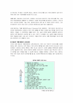 [기업경영]다국적 기업 - ‘3M’ 성공사례연구-4